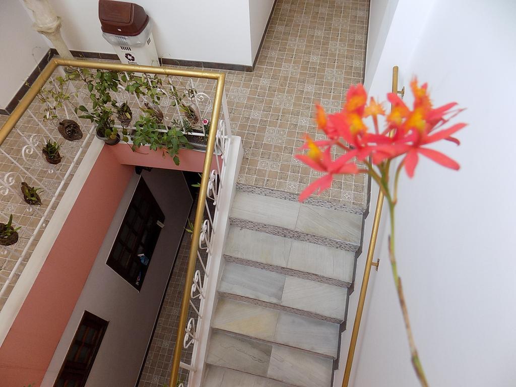 Albergue Rio Vermelho Salvador da Bahia Dış mekan fotoğraf
